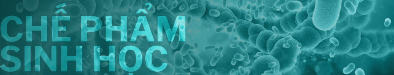 VI SINH ĐƯỜNG RUỘT