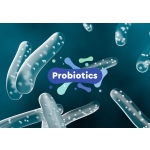 NUÔI TÔM VÀ XU THẾ SỬ DỤNG VI SINH VẬT HỮU ÍCH (PROBIOTIC)  Ở ĐỒNG BẰNG SÔNG CỬU LONG 