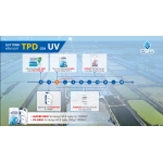 Quy Trình Kiểm Soát TPD Của UV-Việt Nam