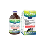 UV-CEP for Cow