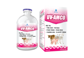UV-AMCO