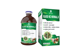 GLUCO KC HERBAL.X