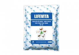 LIFEVITA