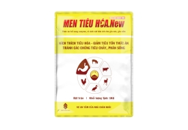 MEN TIÊU HÓA new