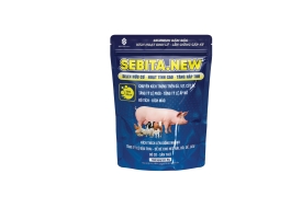 SEBITA-new