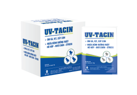 UV-TACIN