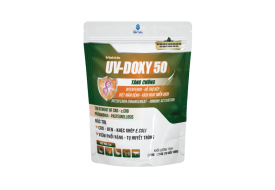 UV-DOXY 50 Pro