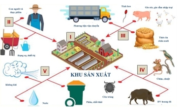 Thành công nhờ chăn nuôi an toàn sinh học