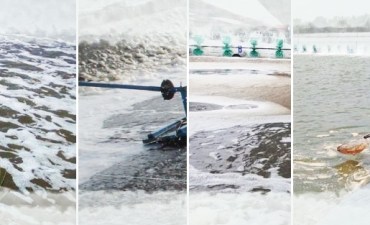 Xử lý bọt trắng trong ao nuôi tôm