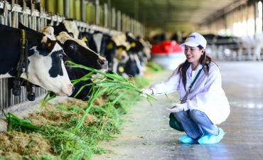 Ngành sữa Việt Nam: Cơ hội “bứt phá” từ nội lực