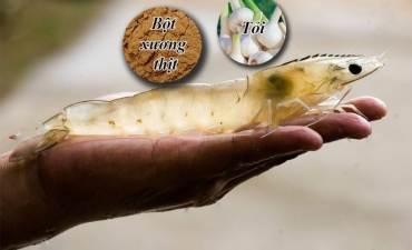 Để tôm không thiếu chất khi dùng bột xương thịt