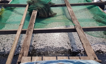 Rà soát, xử lý vi phạm nuôi thủy sản lồng, bè trên sông