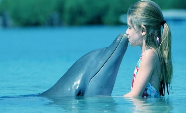 Sống tình cảm như cá heo: Ở chung 1 tháng 