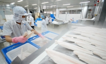  Anh - điểm sáng nhất trong bức tranh xuất khẩu cá tra 8 tháng đầu năm nay