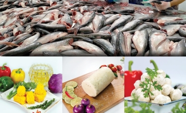 Đầu tư chiều sâu cho sản phẩm cá tra