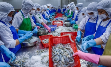 Hiệp định EVFTA có hiệu lực từ 1-8: Cơ hội cho nông sản Việt