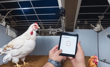 Robot thông minh tiến vào ngành trứng