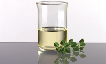 Dầu kinh giới Oregano: Kiểm soát gregarine trong nuôi tôm ao đất