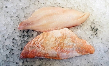 Kiểm soát mùi vị khó chịu trong thịt cá khi nuôi tuần hoàn