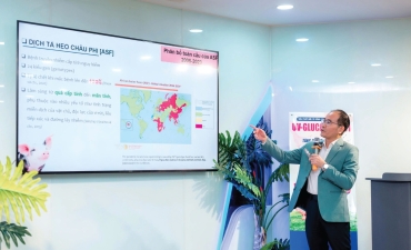 DỊCH TẢ HEO CHÂU PHI: HIỆN TRẠNG VÀ GIẢI PHÁP KIỂM SOÁT HIỆU QUẢ