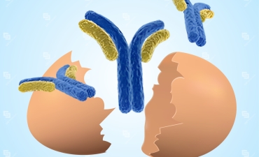 Ảnh hưởng của chế độ cho ăn kháng thể lòng đỏ trứng gà lên đáp ứng miễn dịch và khả năng đề kháng bệnh của tôm thẻ chân trắng (Penaeus vannamei) 
