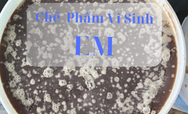 Ứng dụng chế phẩm vi sinh EM trong NTTS và một số điểm lưu ý