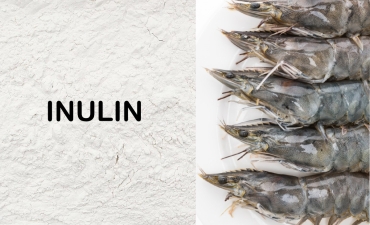 Ứng dụng trên đa loài của Inulin trong thủy sản