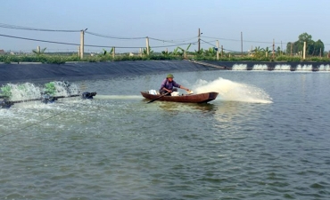 Khắc phục ao nuôi thủy sản sau mưa, lũ