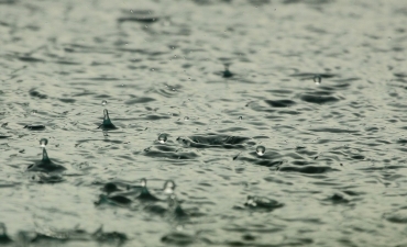 Mưa lớn ảnh hưởng như thế nào đến các thông số môi trường và sức khỏe tôm nuôi?