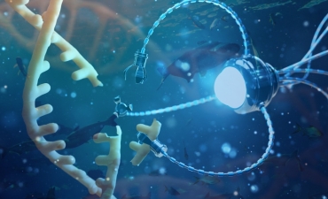 Công nghệ nano trong nuôi trồng thủy sản