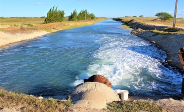 Xử lý hiệu quả nước thải nuôi thủy sản bằng tập đoàn vi khuẩn