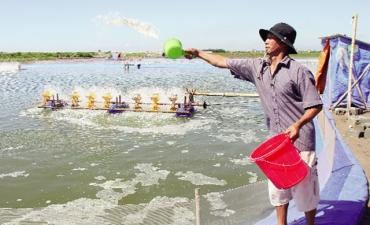 Đưa chế phẩm sinh học vào nề nếp