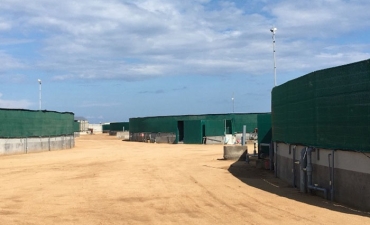 Nuôi tôm trong hồ xi măng hình tròn cho thu nhập tiền tỷ