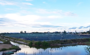 Nuôi tôm sạch làm đất hoang “hóa vàng”