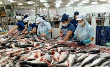 Thủy phân phụ phẩm cá tra làm phân bón hữu cơ