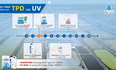 Quy Trình Kiểm Soát TPD Của UV-Việt Nam