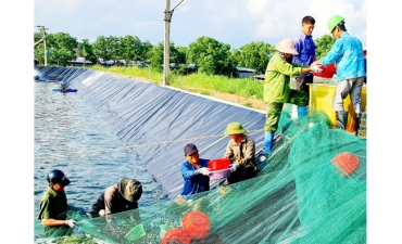 Quảng Ninh đẩy mạnh nuôi trồng thủy sản công nghệ cao