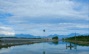 Ngoài nhiệt độ, thời tiết còn tác động gì đến NTTS?