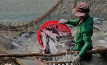 Tương lai của nuôi trồng thủy sản