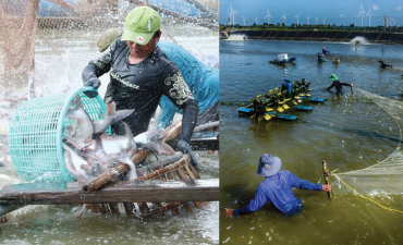 Ngành thủy sản Việt Nam: Tận dụng cơ hội vàng để bứt phá