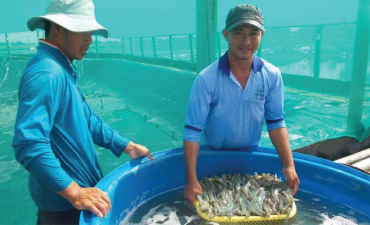 Hấp dẫn nơi thủ phủ tôm