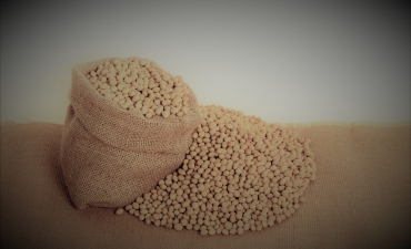 Ngăn chặn dịch bệnh từ thức ăn và nguồn dinh dưỡng tối ưu cho nuôi trồng thủy sản