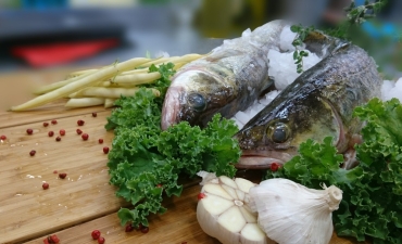 Nên ăn hải sản nuôi hay tự nhiên?