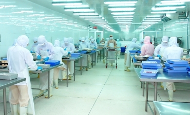 [Video] Tín hiệu vui xuất khẩu cá tra sang Singapore