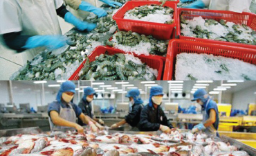 Giá tôm tốt ngay đầu quý III, cá tra vẫn mịt mờ?