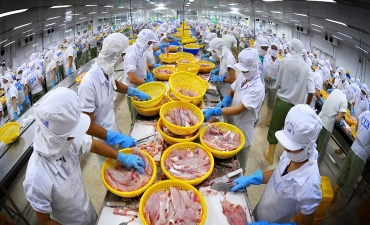 Xuất khẩu thuỷ sản 6 tháng đầu năm giảm mạnh, đạt 3,5 tỷ USD