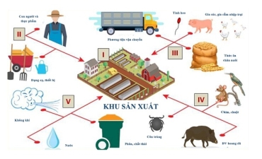 Thành công nhờ chăn nuôi an toàn sinh học