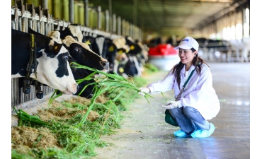 Ngành sữa Việt Nam: Cơ hội “bứt phá” từ nội lực