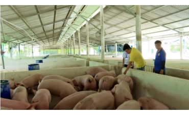 Ứng dụng công nghệ số trong phòng chống dịch bệnh: Mong có bản đồ miễn dịch số