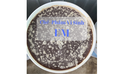 Ứng dụng chế phẩm vi sinh EM trong NTTS và một số điểm lưu ý